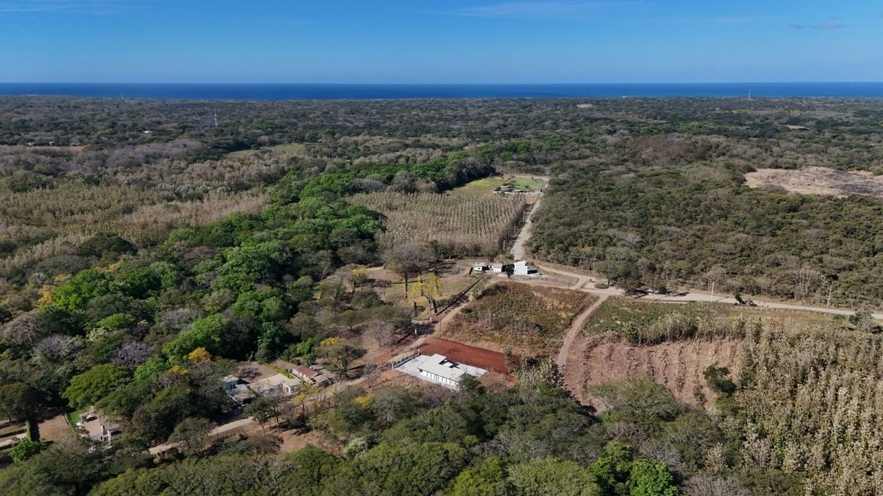 Villa Luz: Tropical Modern Home for Sale in Rancho Pinilla