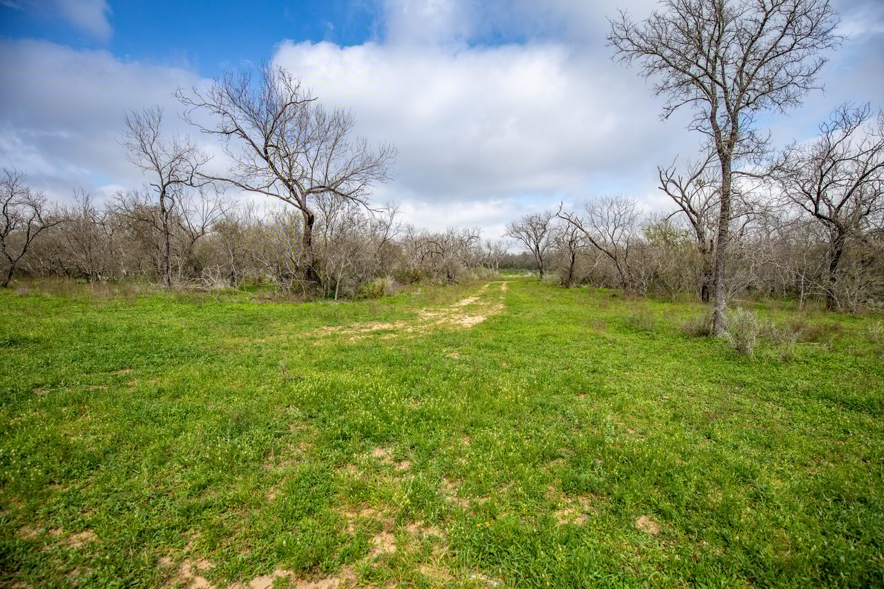 Dry Hollow Creek Ranch | 21.96± Acres | Bexar County