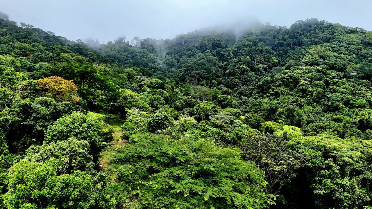 Costa Azul Residential Project - Tres Ríos de Osa, Costa Rica