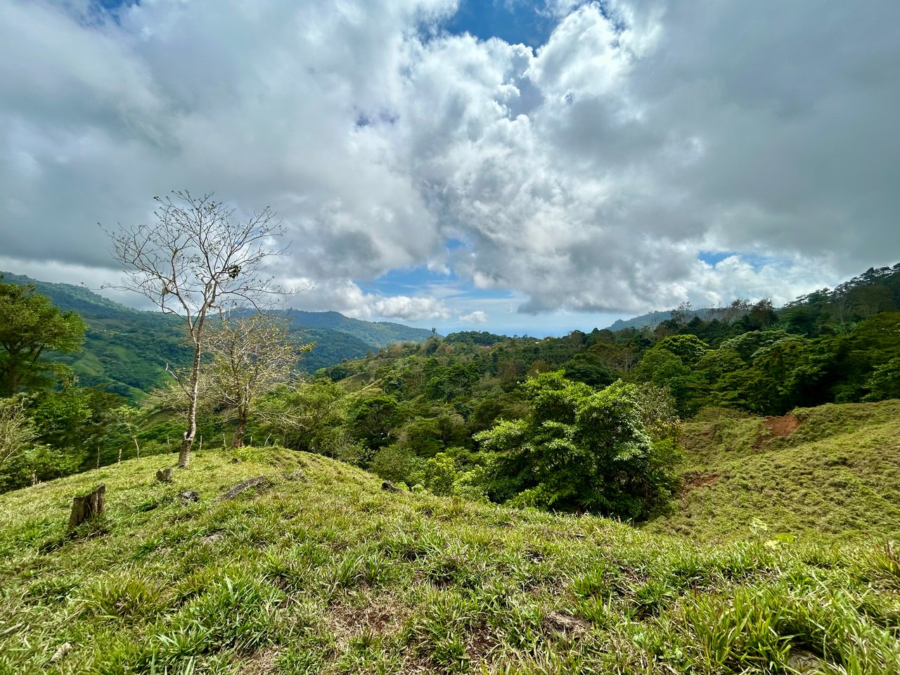 Gorgeous Land in San Luis Morete - Uvita - Over 17 Acres
