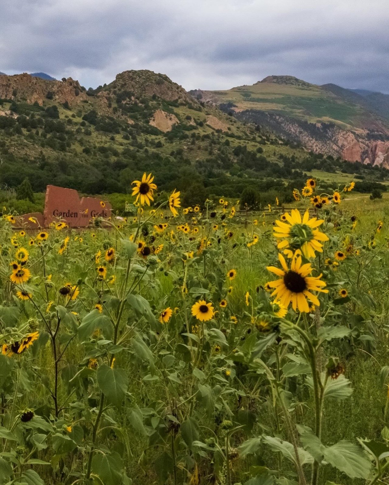Garden of the Gods: Where Colorado Springs Comes Alive