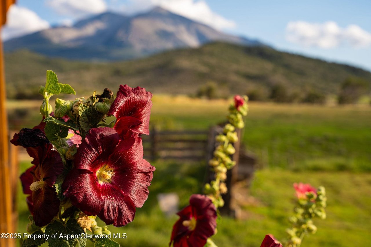 1644 Prince Creek Road