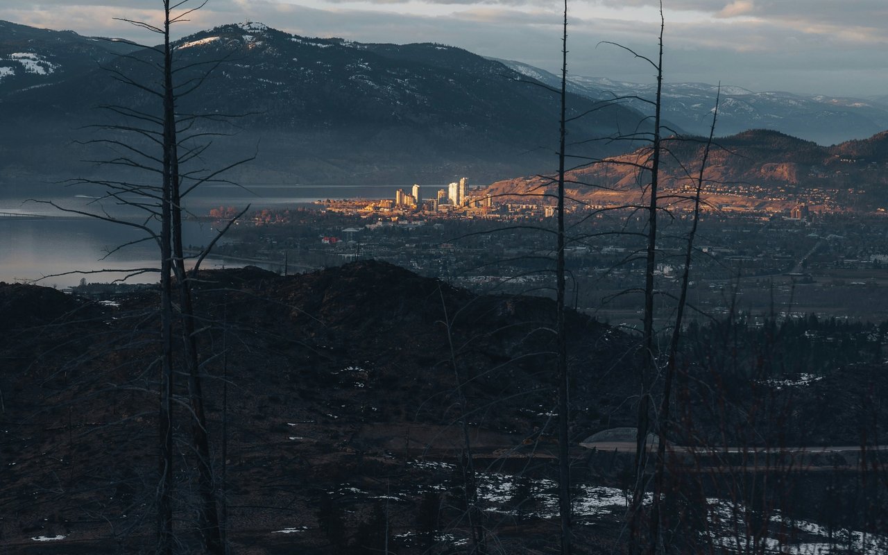 the kelowna rennie advance | February 2026