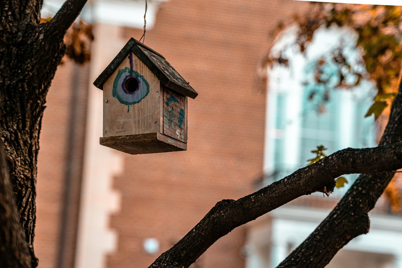 Weathered wooden birdhouse hanging from a tree, framed by dark branches.