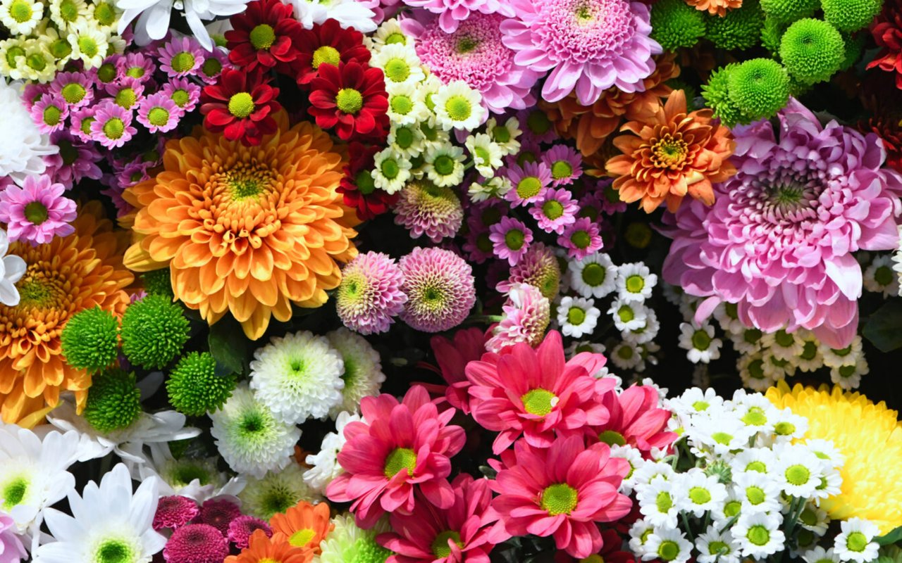 In Full Bloom
