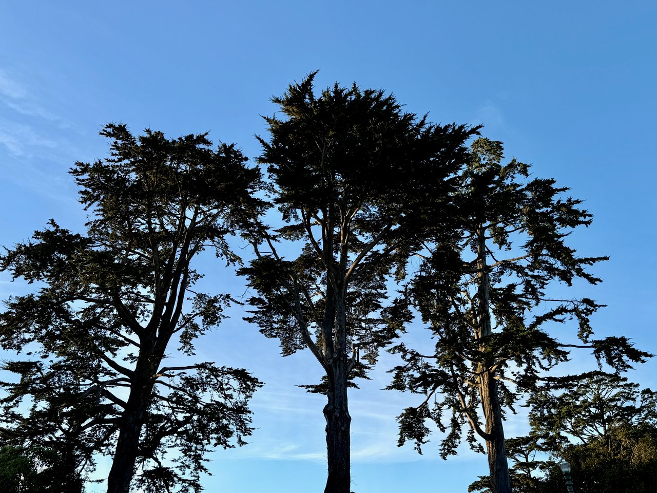 District 2 – Sunset