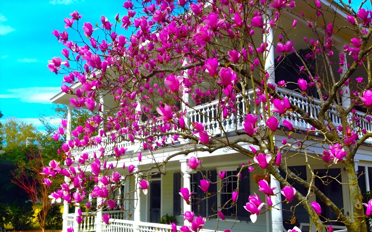 Top 10 Reasons to Move to Charleston