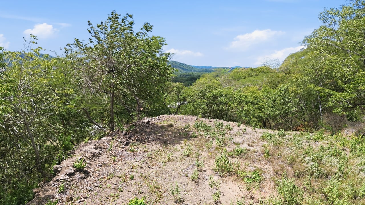 Development Parcel - Valley views - Matapalo