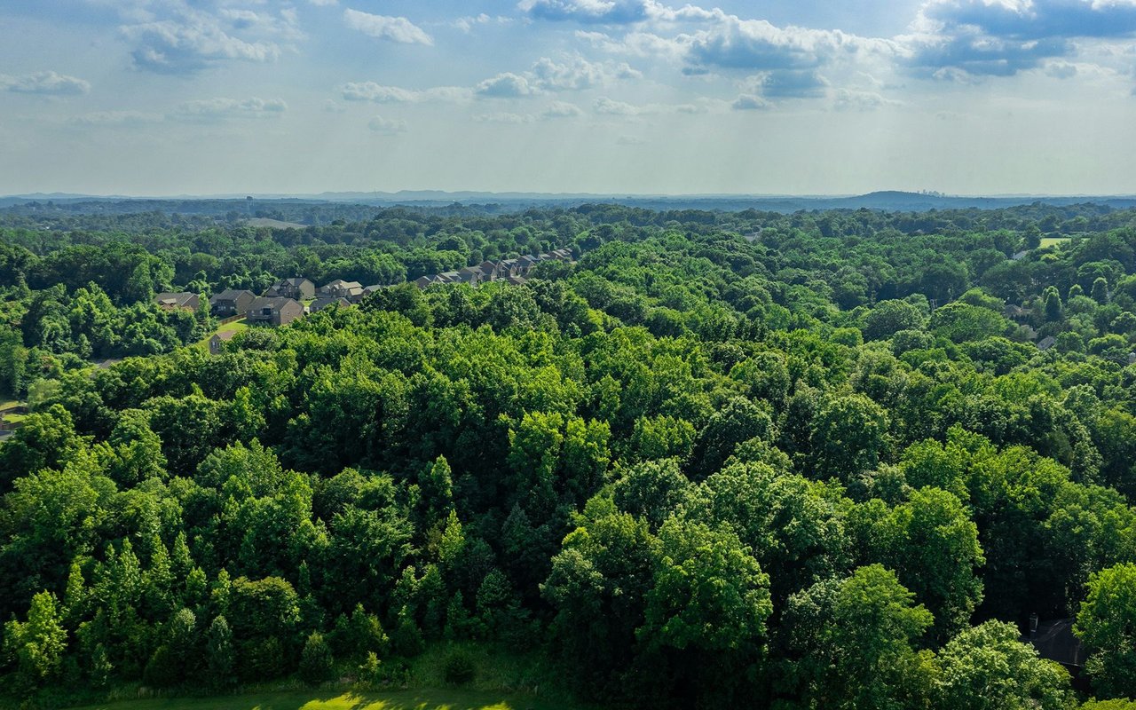 Montgomery Ridge