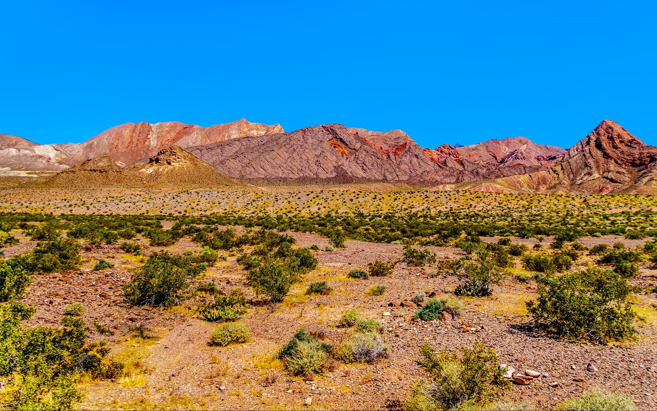 Mohave Valley