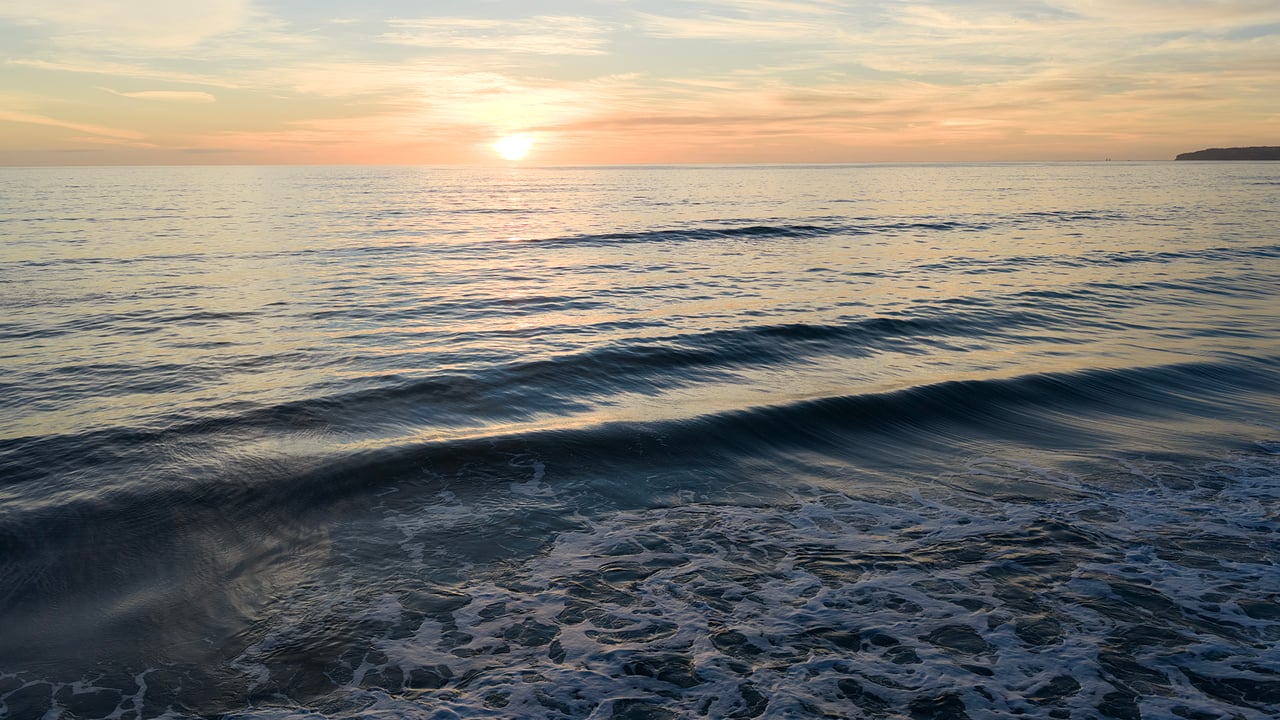 1880 N El Camino Real 23