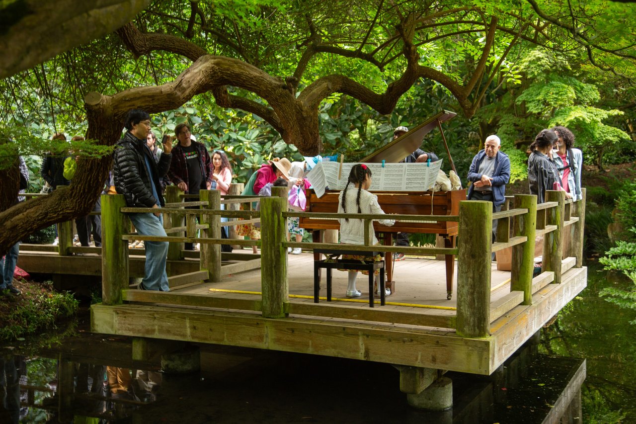 Group gathered around piano on wooden deck over lagoon under tree canopy