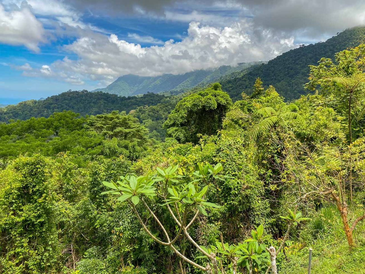 3-Bed Ocean View Home Near Ojochal, Costa Rica | 2.75 Acre Jungle Property