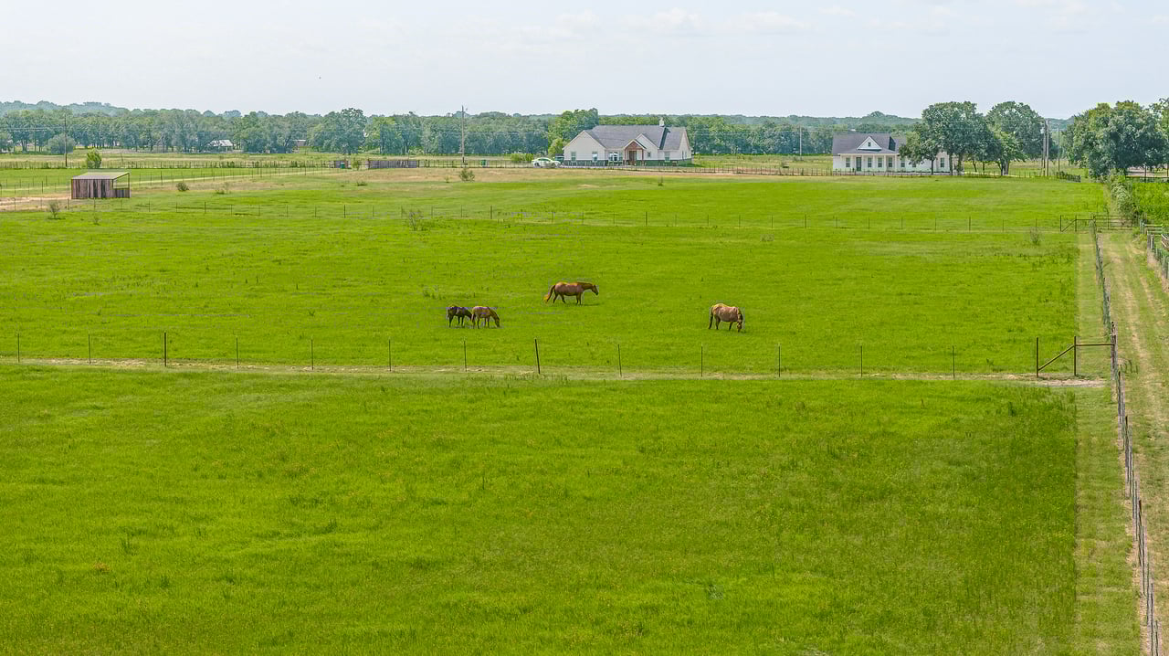 maintained coastal field Granbury Texas
