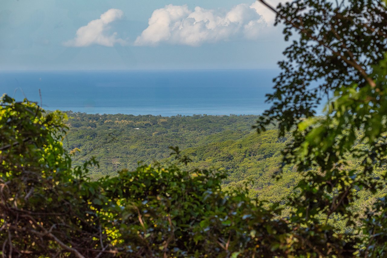 The Enclave At Los Cielos | Ocean & Mountain View Lots Near Playa Avellanas – From $85,000 to $275,000