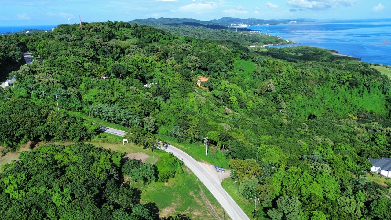 Rdft Property in West Bay (4 acres)