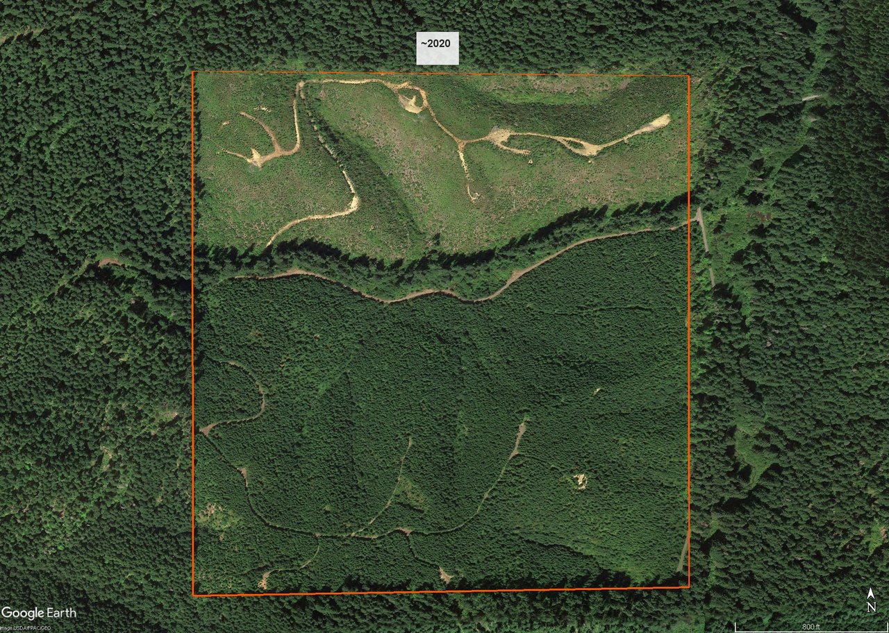 ARC Woods