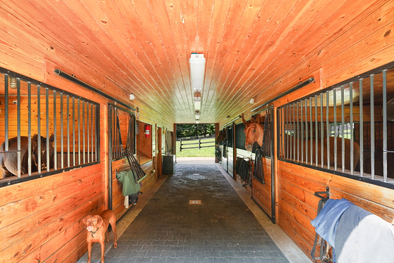 48 Davids Way