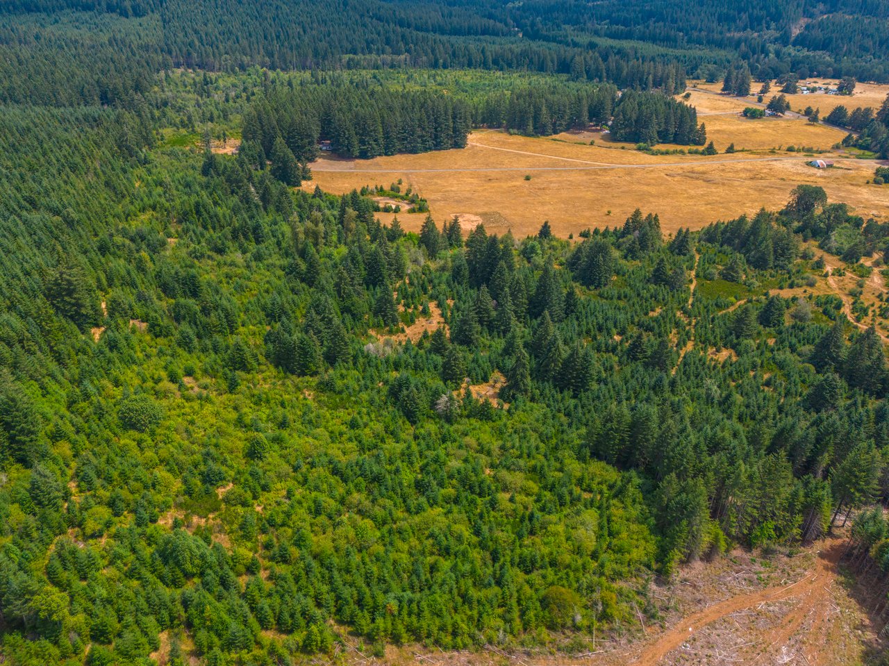 Sheffler Farm & Forest