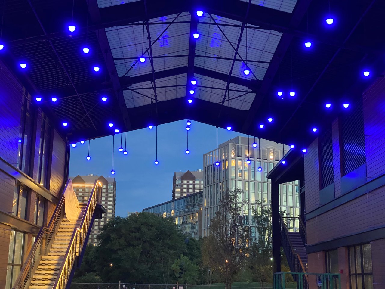 2 Earhart Street, Unit 904