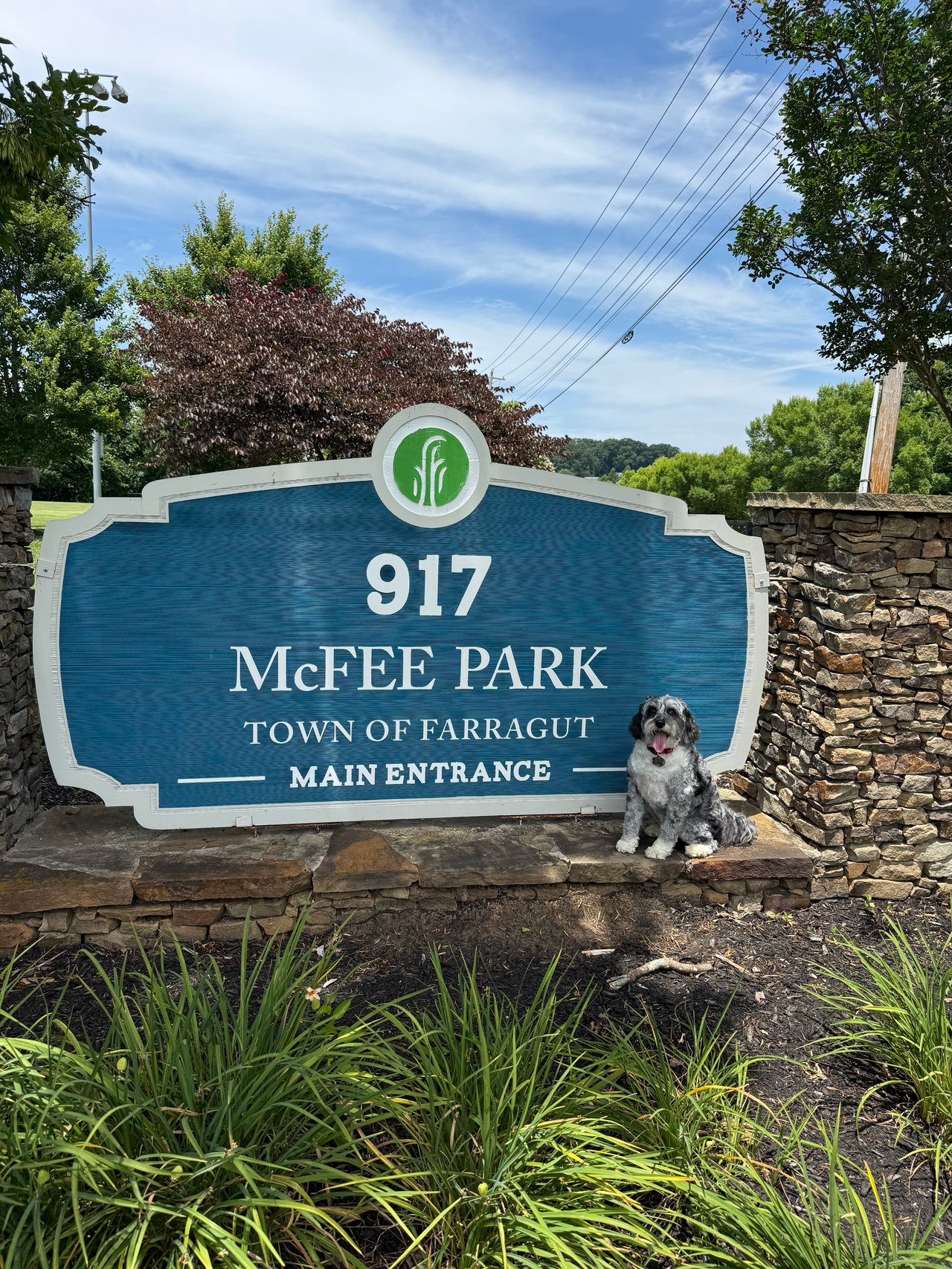 Molly's Favorite Farragut Parks