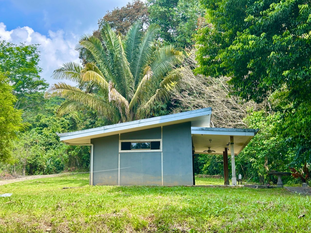 Fixer-Upper Home with an studio Office in Palmar Norte on a 4-Hectare Property