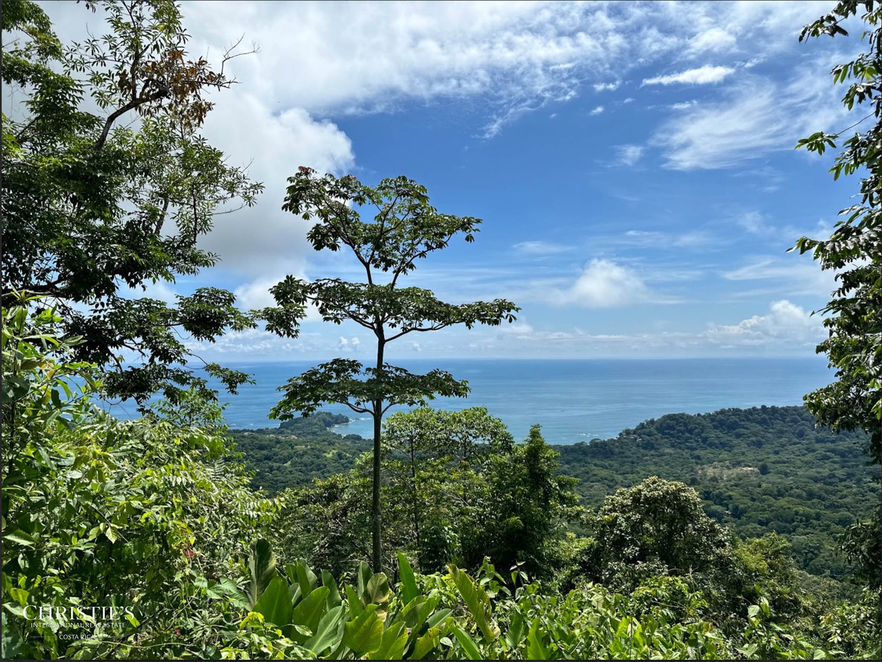 Luxury Farm Estate — 60 hectares of Breathtaking Views & Ultimate Privacy