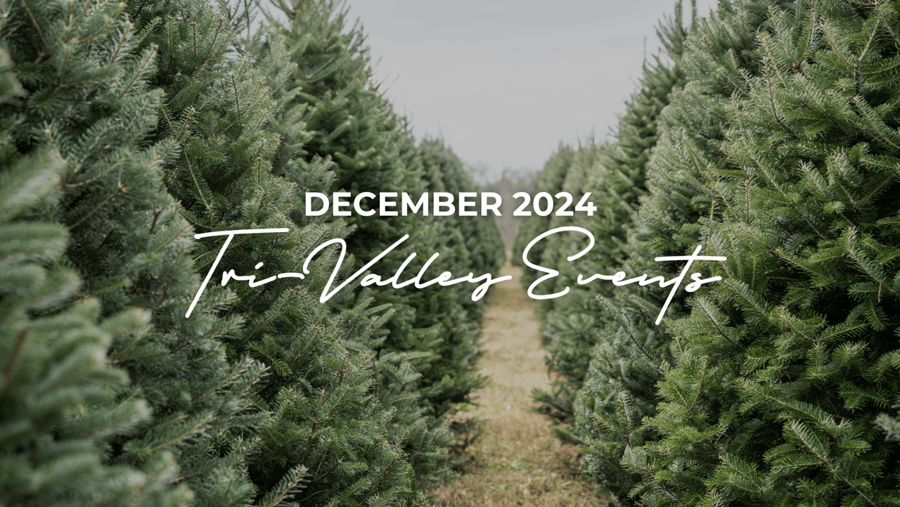 Tri-Valley Events: December 2024