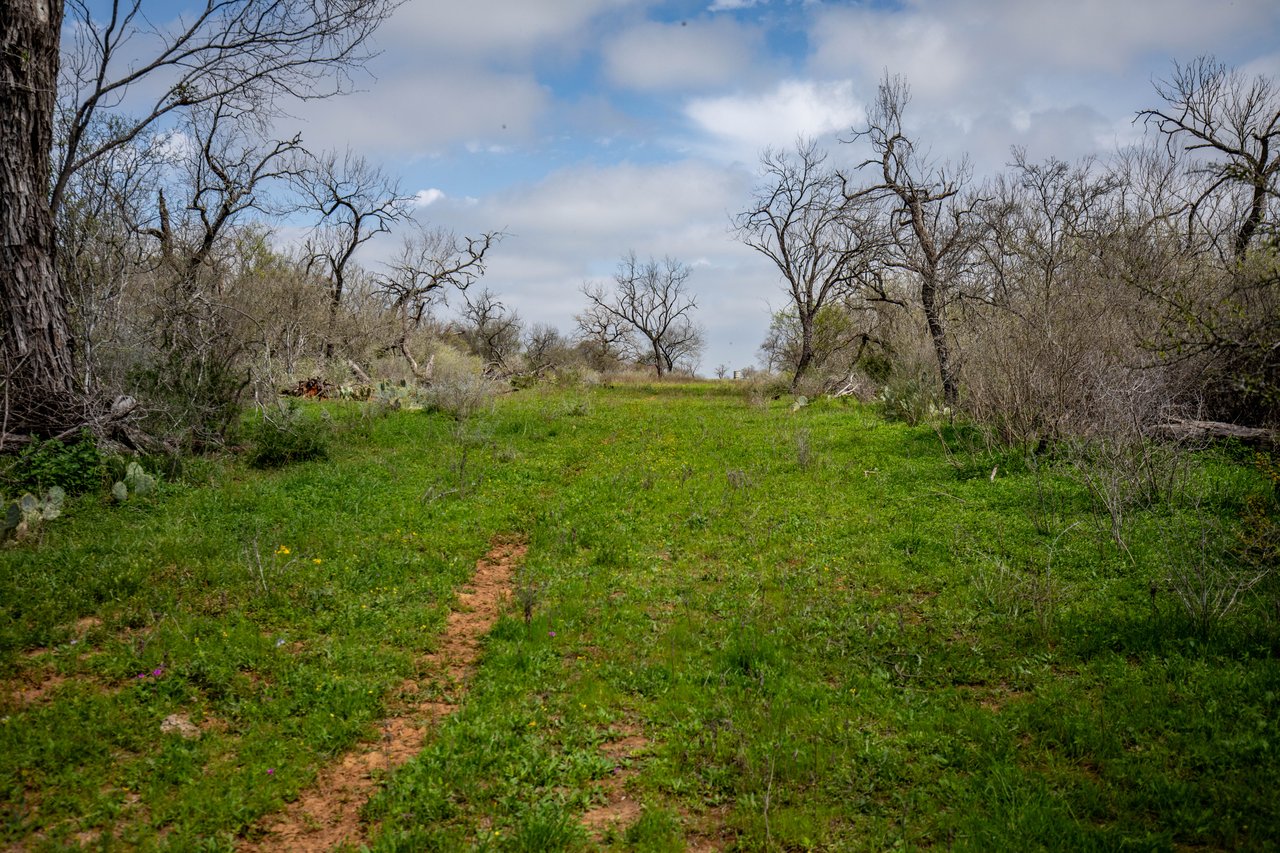 Dry Hollow Creek Ranch | 24.29± Acres | Bexar County