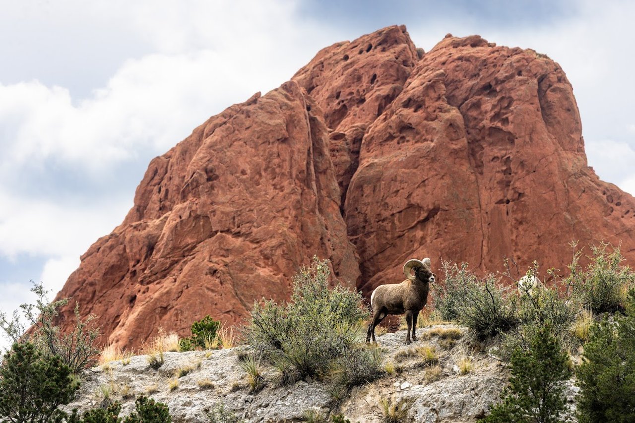 Garden of the Gods: Where Colorado Springs Comes Alive