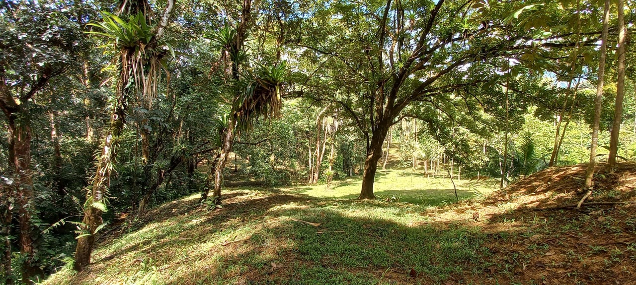 Luxury Rainforest Home + Guest House on 11 acres