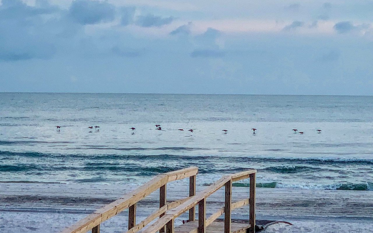 Things You Might Not Know About Port St. Joe