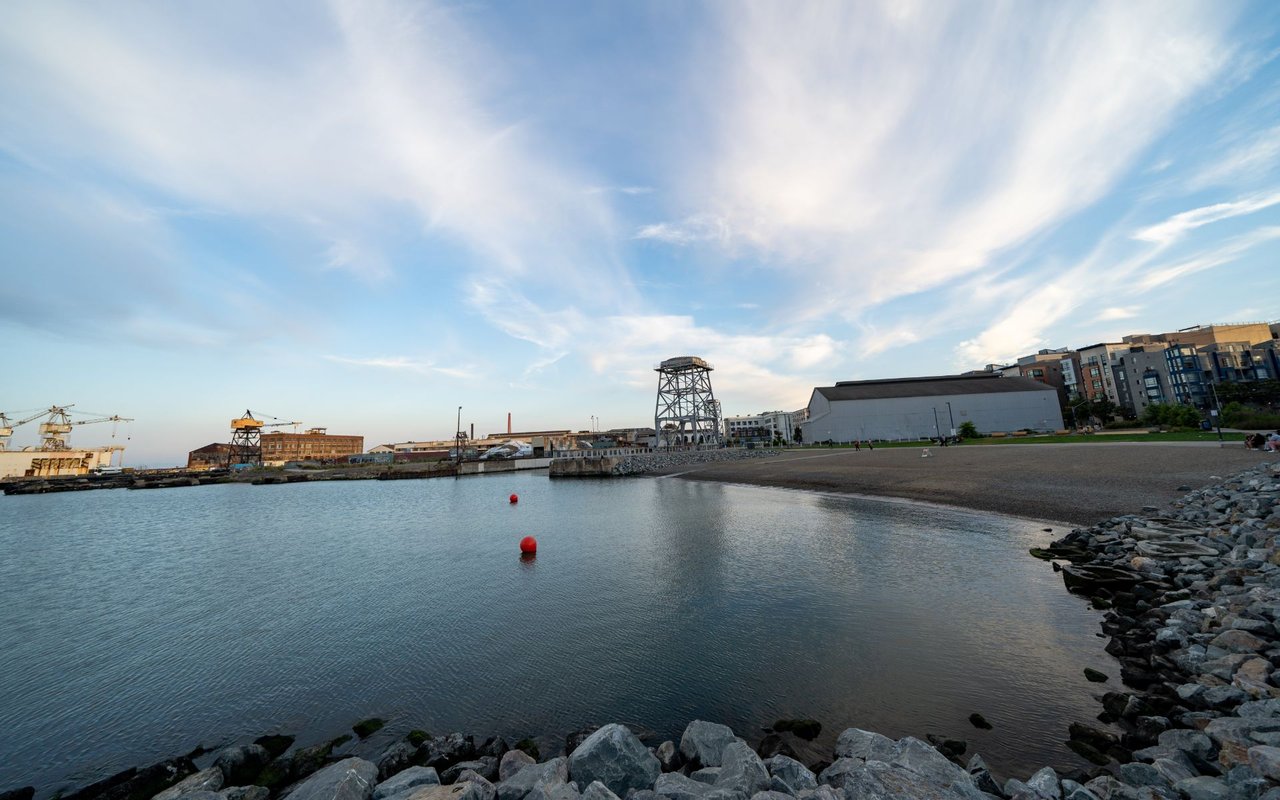 Dogpatch