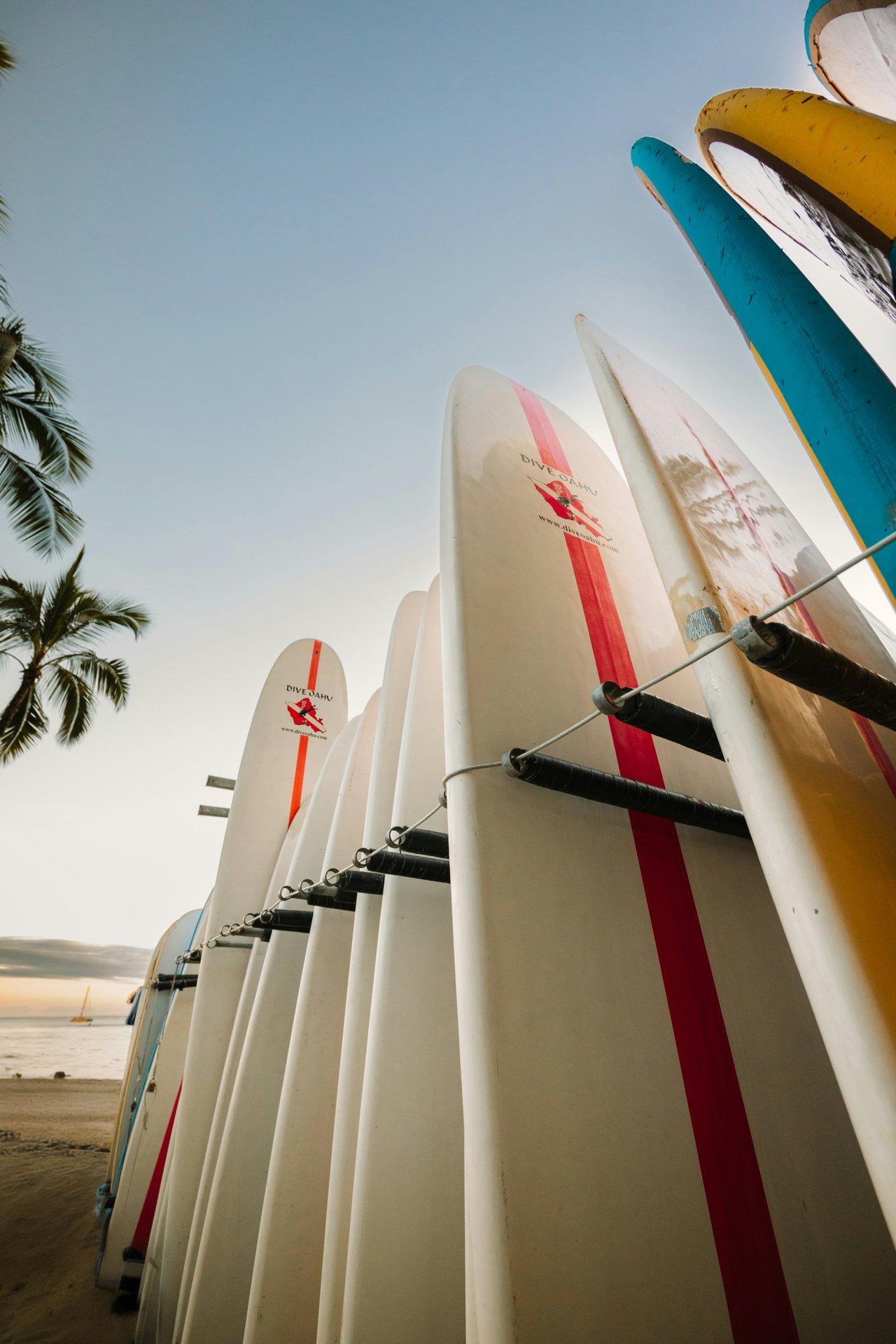 Surfboards lined up beside a beach, with palm trees and a sailboat in the distance.