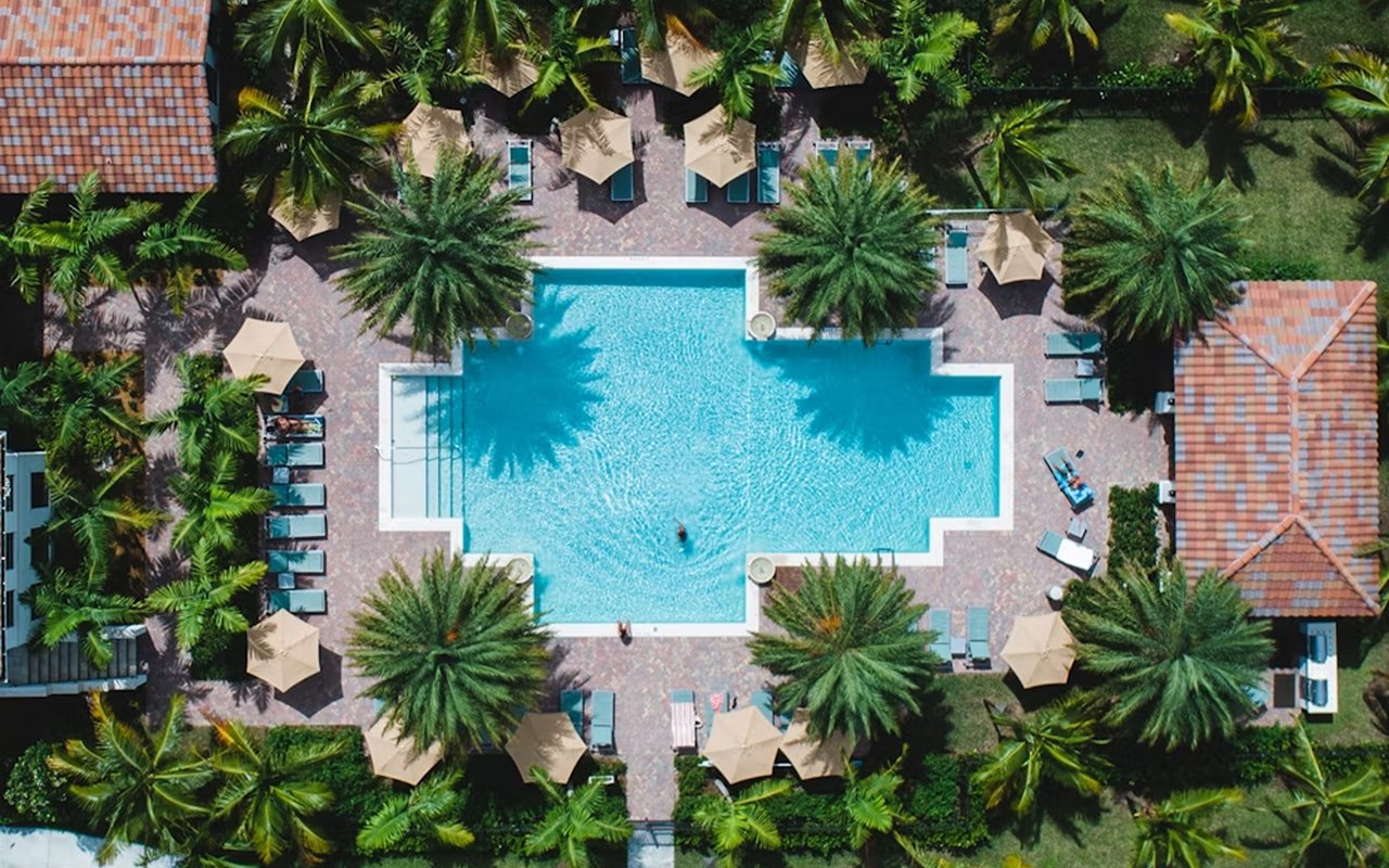 Aerial view of a resort pool surrounded by palm trees, lounge chairs, and umbrellas.