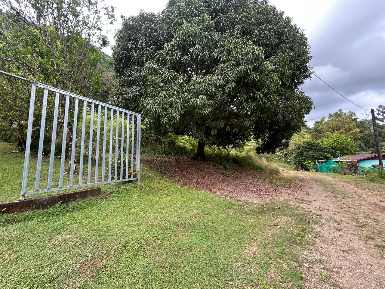 Commercial & Residential Property in Punta Mala with Producing Fruit Trees