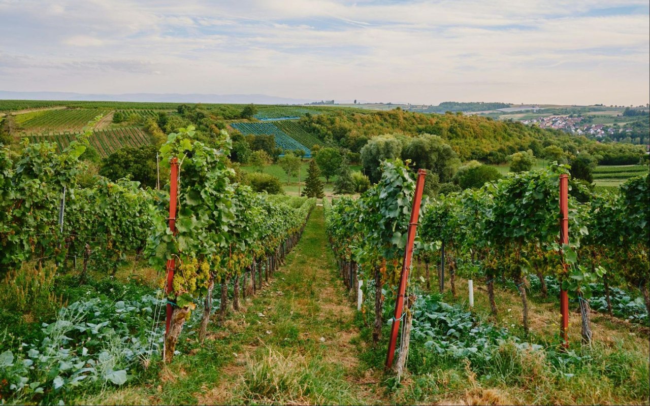 Weekend Trips From Chesterfield, MO