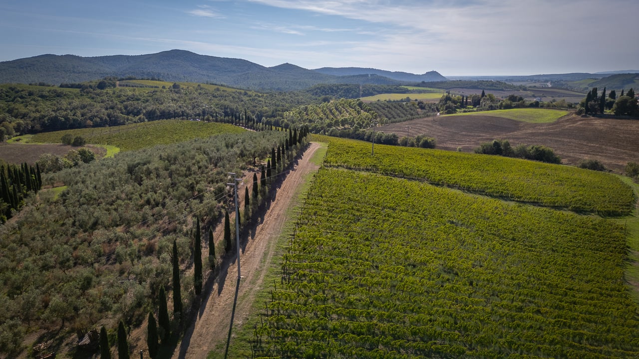 IL LEONE DEL FIORA
