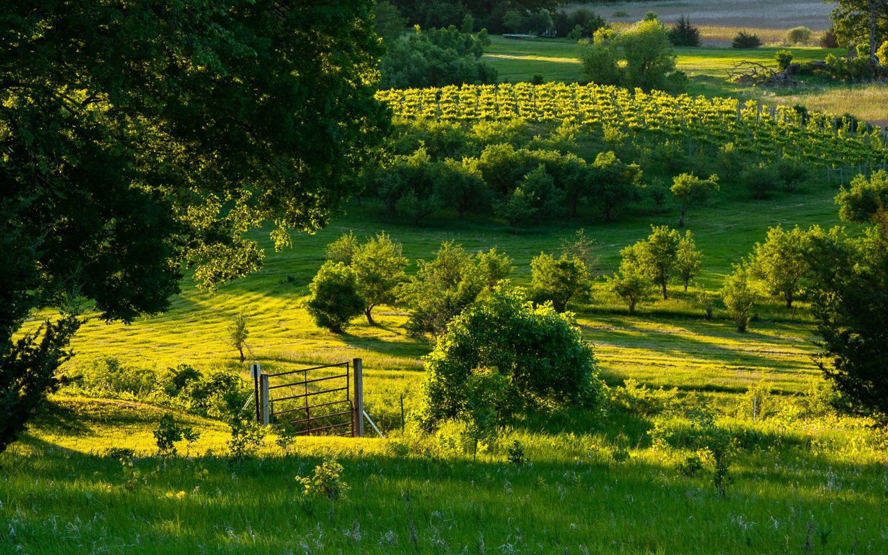 Glen Ellen