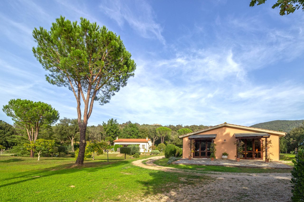 Organic Agriturismo in Roccastrada