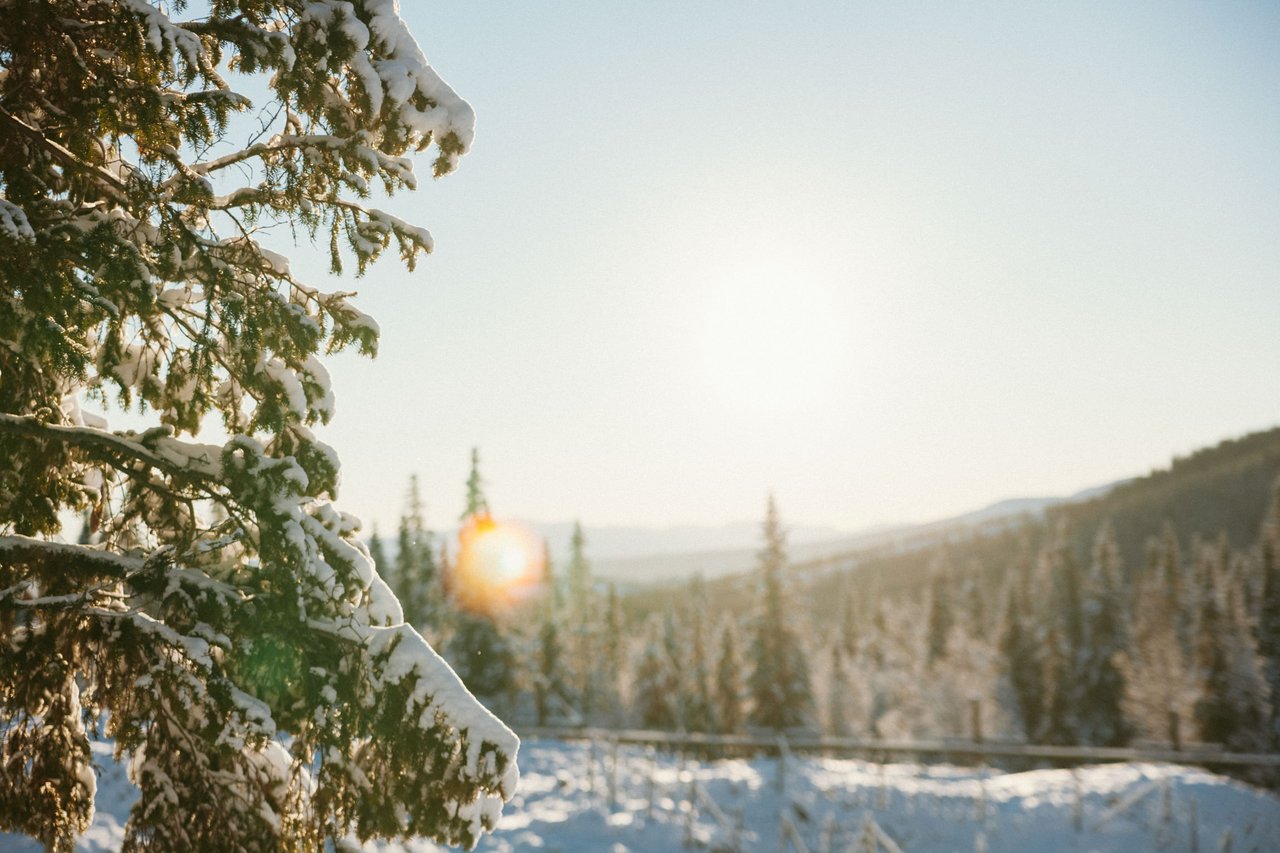 Looking for things to do in Madison this February? Explore February 2026 events including winter festivals, UW sports, live shows, markets, and family-friendly activities.