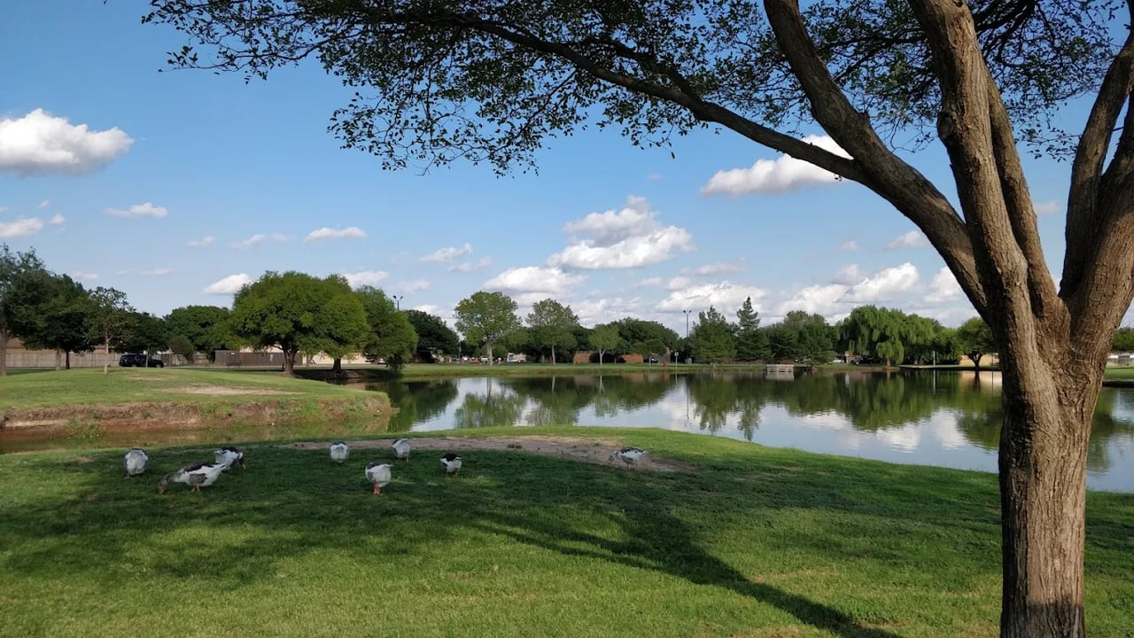 The Meadows / Preston Smith Homes for Sale in Lubbock, TX