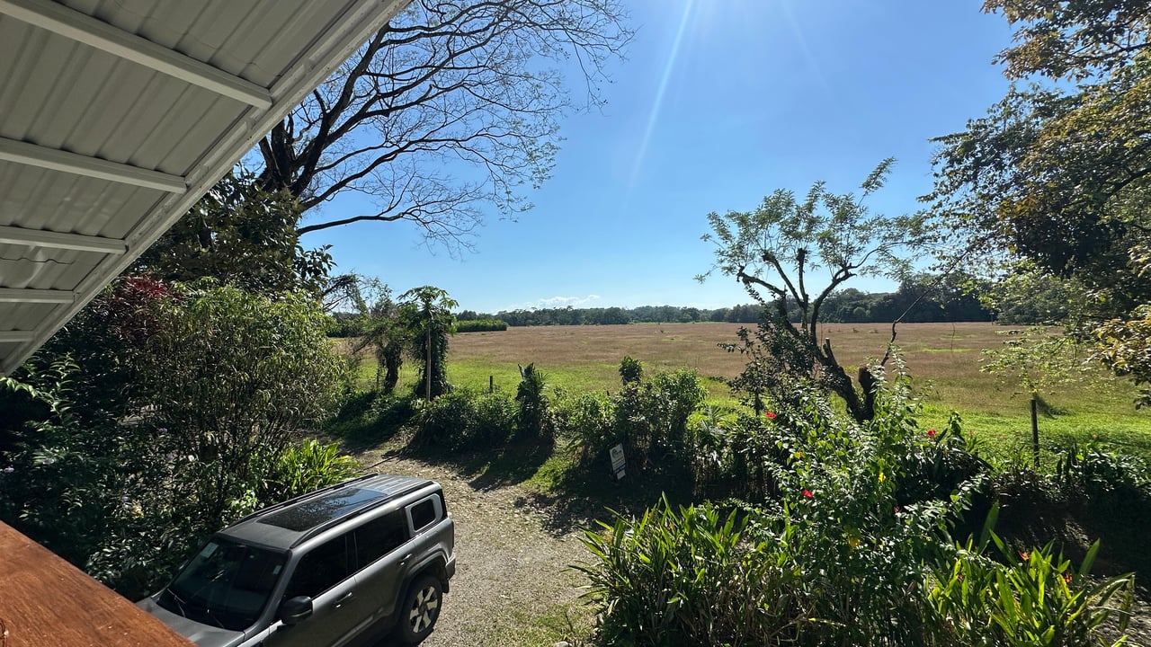 Breeze, Trees, and Monkeys - Your Affordable Costa Rican Haven