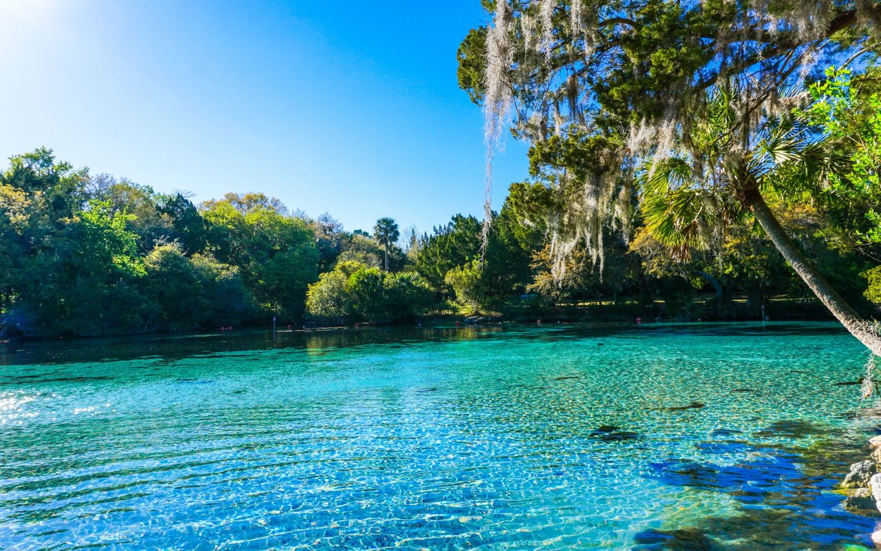 Ocala