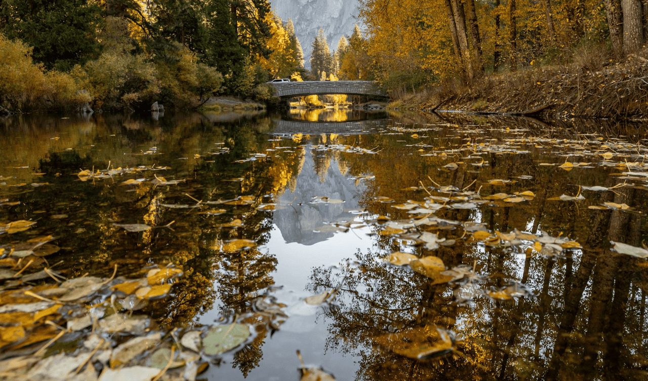 Thriving in Yosemite