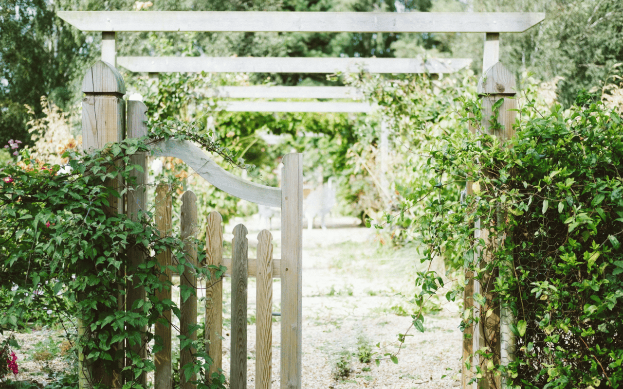 How to Renovate Your Backyard to Increase Home Value