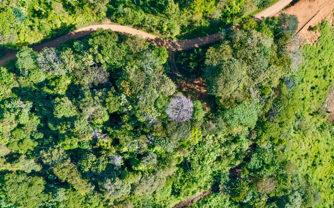 San Luis Ridgetop Ocean & Mountain View Property with Multiple Building Sites!