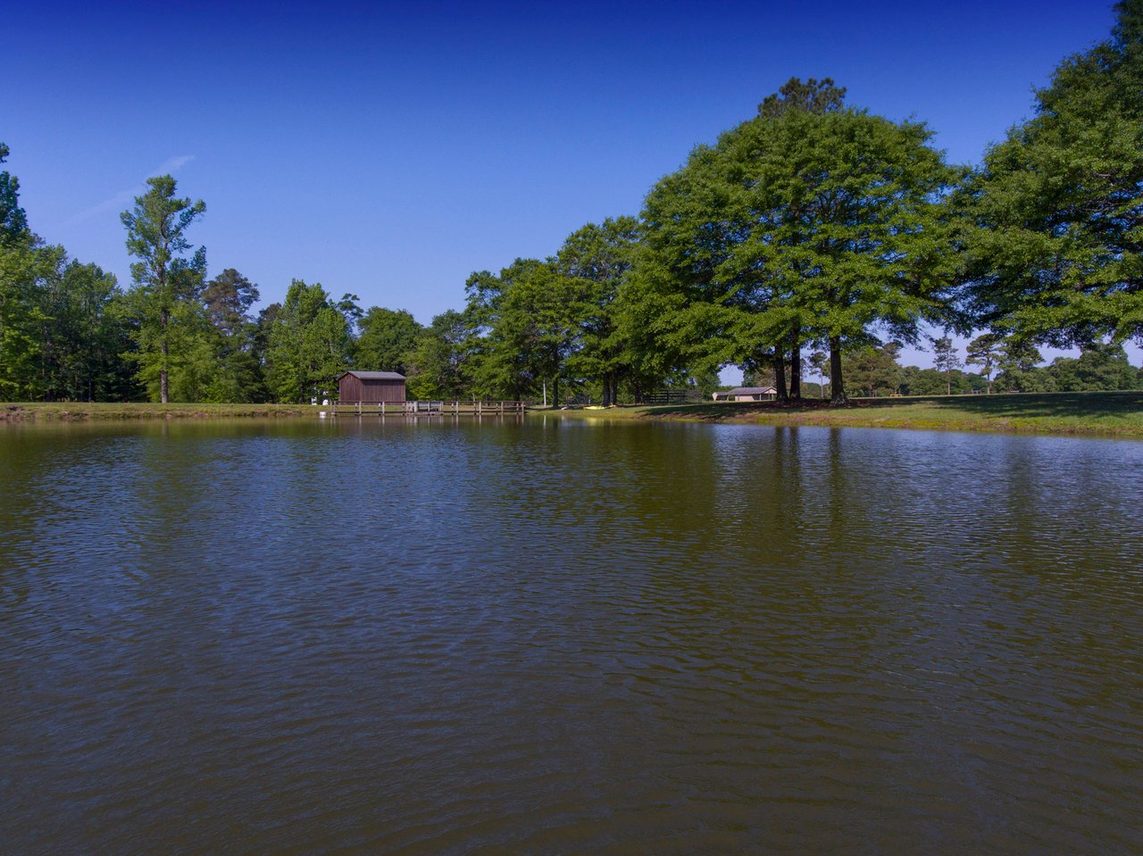 Equestrian Estate at 411 New Hope Church Road