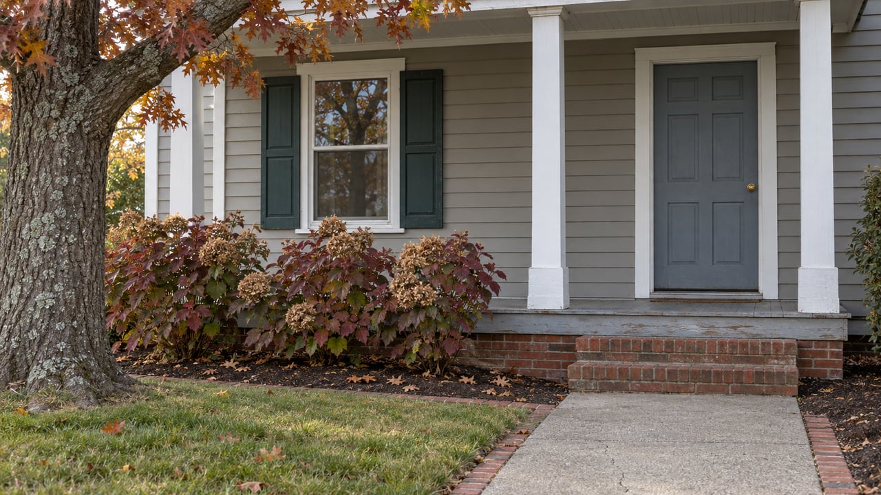 Clapboard home entrance with green shutters, a brick stoop, oakleaf hydrangeas and a mature oak in autumn.