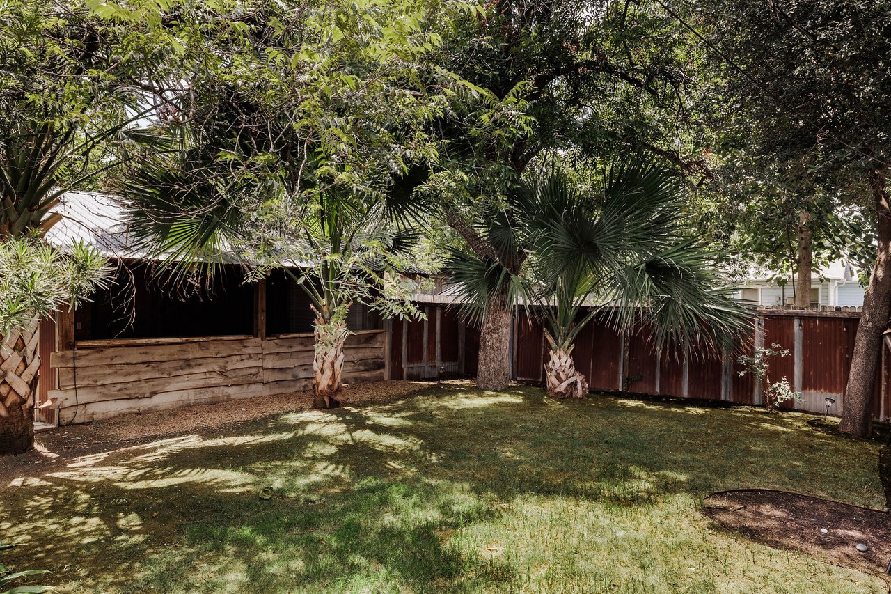 Bouldin Creek Sanctuary